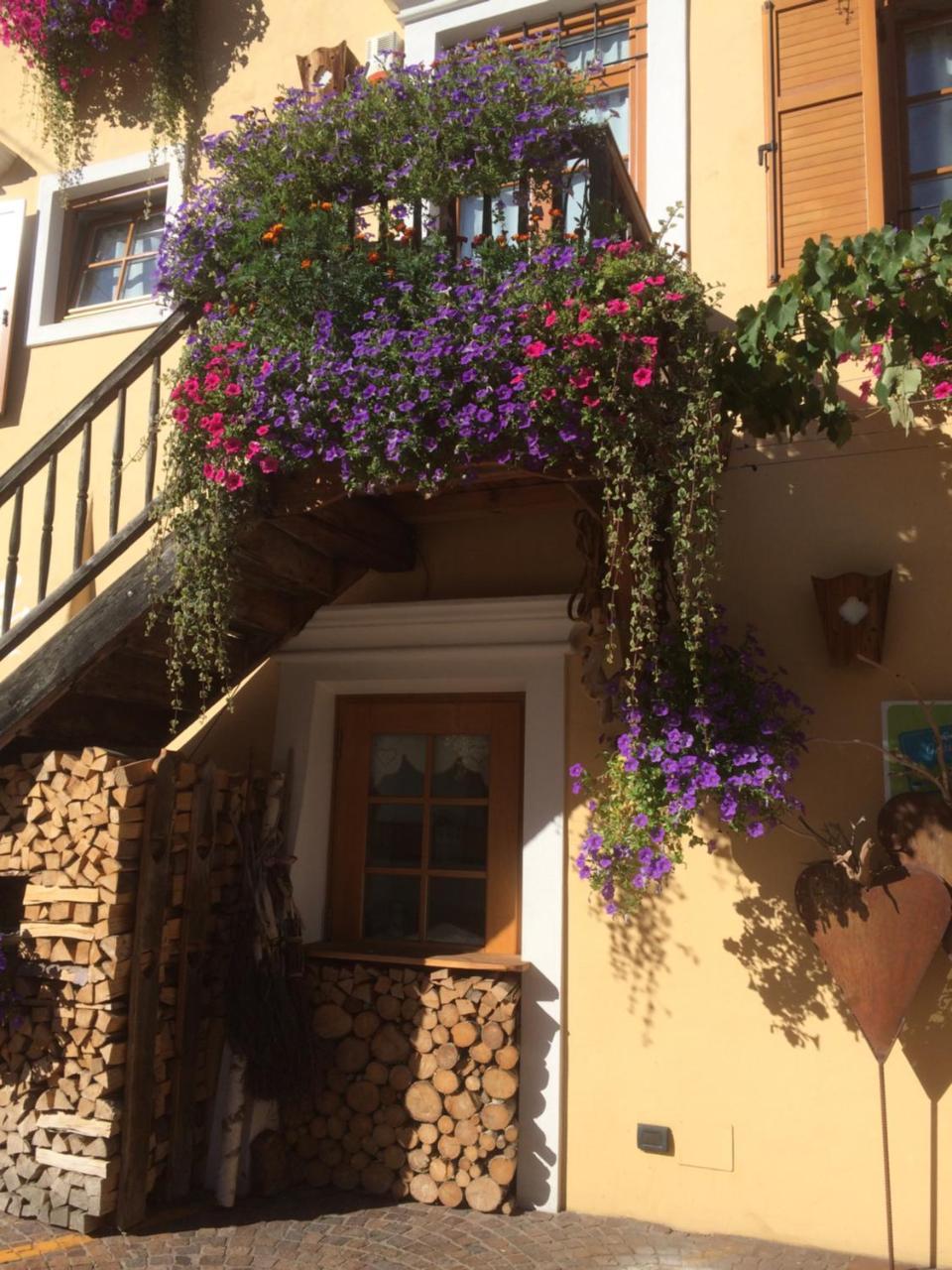 Hotel Garni Salvanel Cavalese Exterior photo